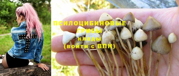 PSILOCYBIN Богданович